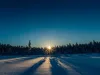 The Swedish Prescription January sun