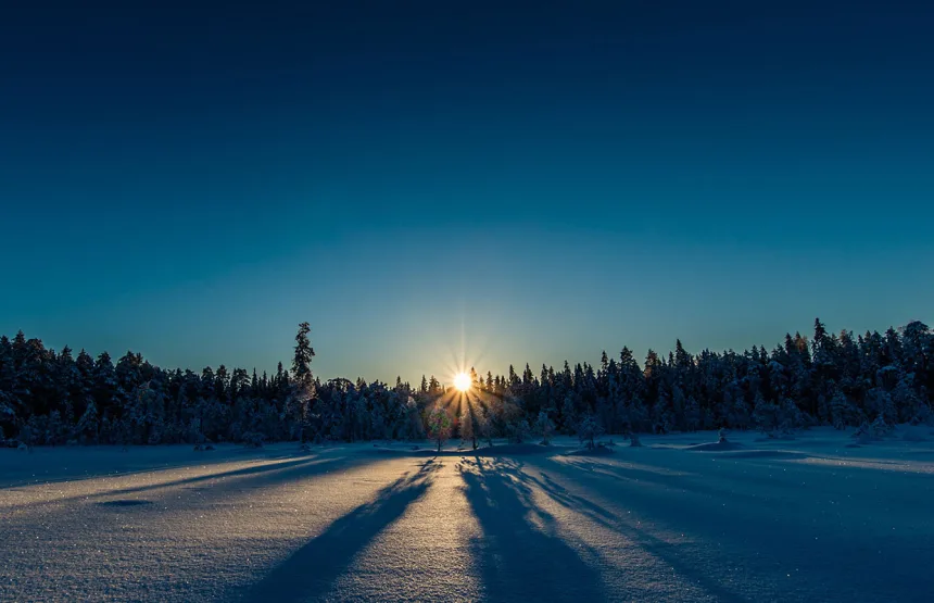 The Swedish Prescription January sun