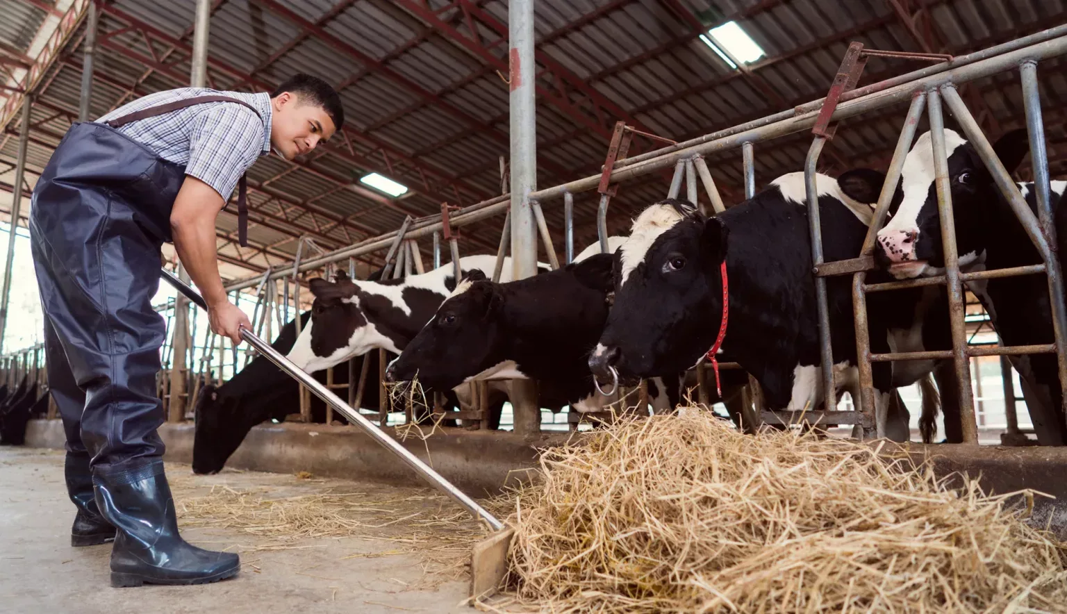 Al Rawabi Dairy Company EME Outlook Magazine