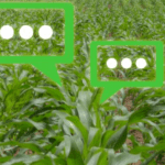 An interview with ENGIE Impact CEO Mathias Lelievre