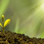 Expert Eye: Four Steps to an Impactful Sustainability Programme for Retailers