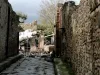 Italian Government to Help Pompeii Restoration