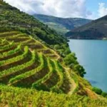 Portugal's 2027 vision to become one of the most sustainable tourist destinations in the world