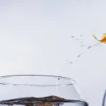 The Final Word: Qualities of a Successful Businessperson